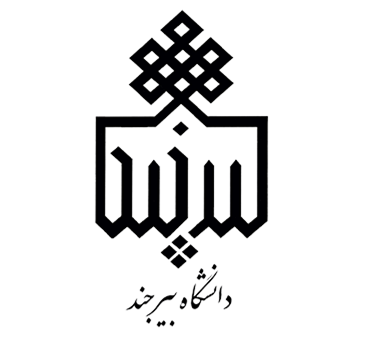 دانشگاه بیرجند